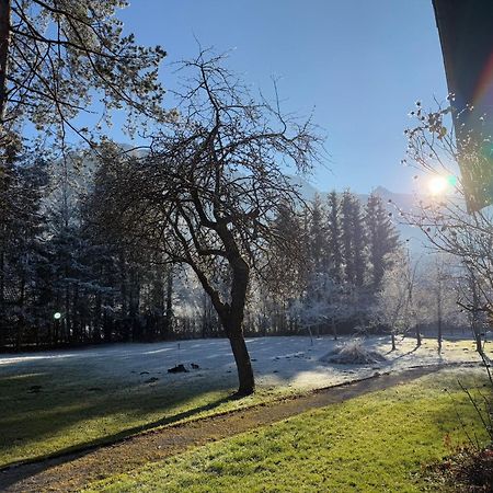 Esterer Grödig Exteriér fotografie