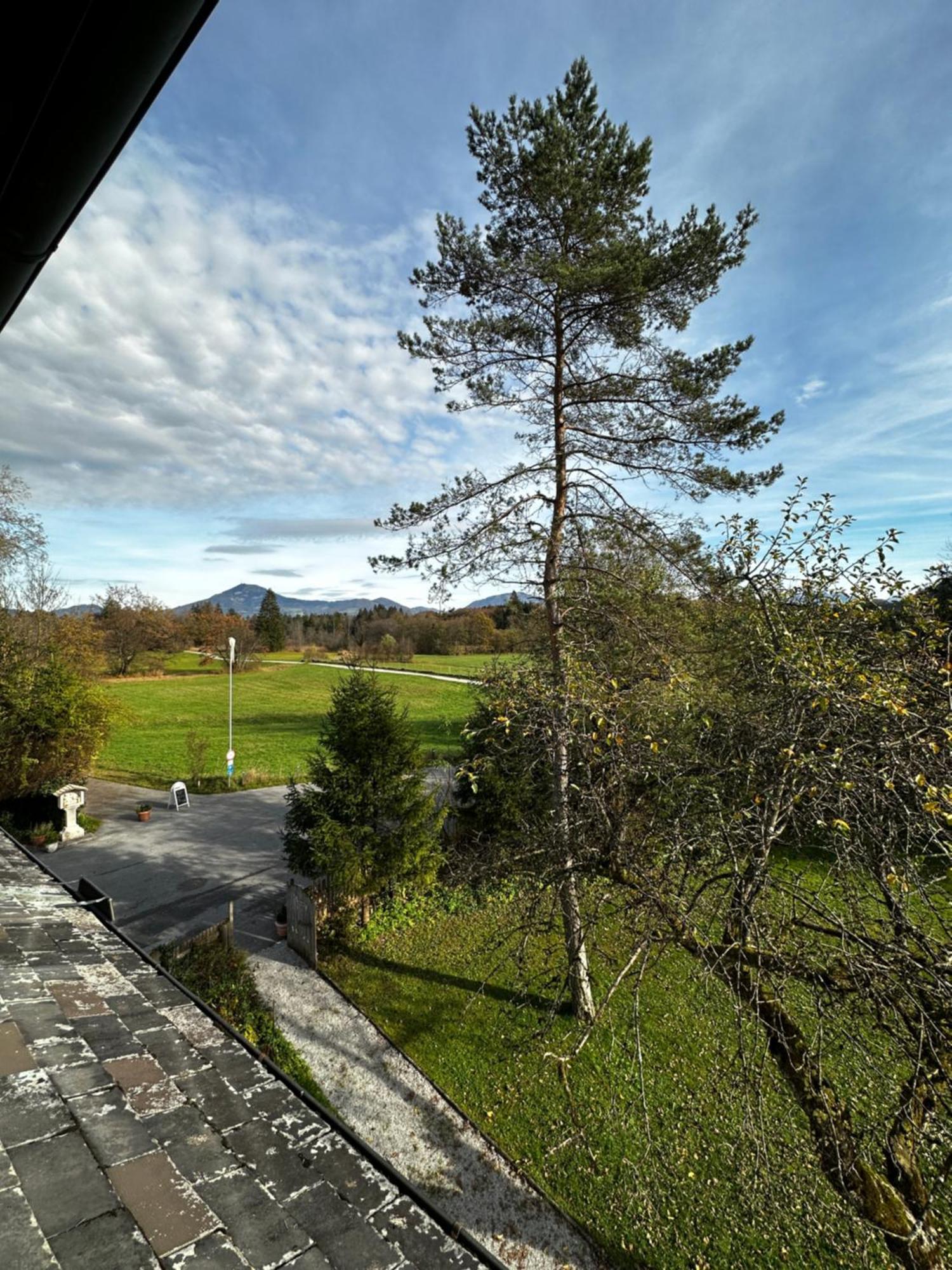 Esterer Grödig Exteriér fotografie