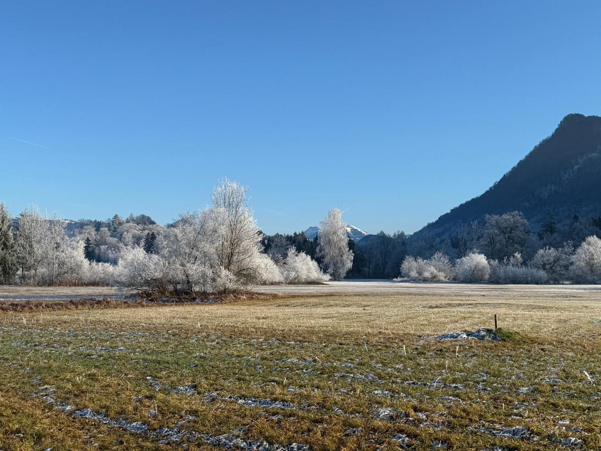 Esterer Grödig Exteriér fotografie