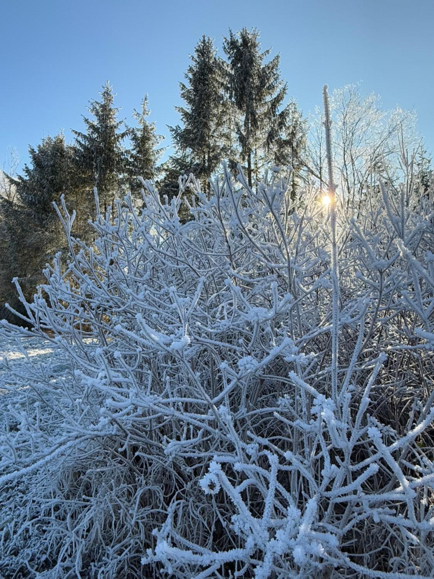 Esterer Grödig Exteriér fotografie