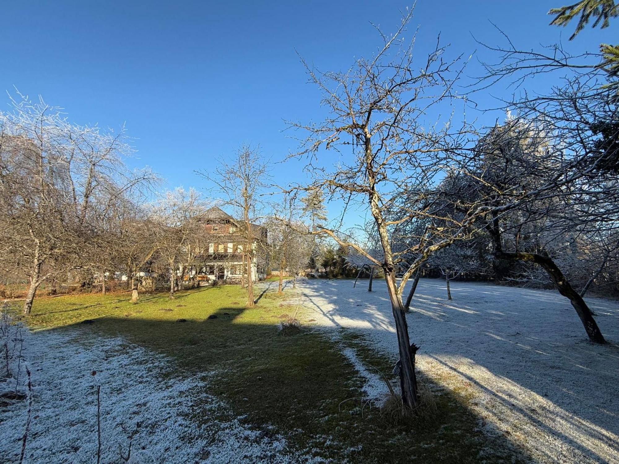 Esterer Grödig Exteriér fotografie