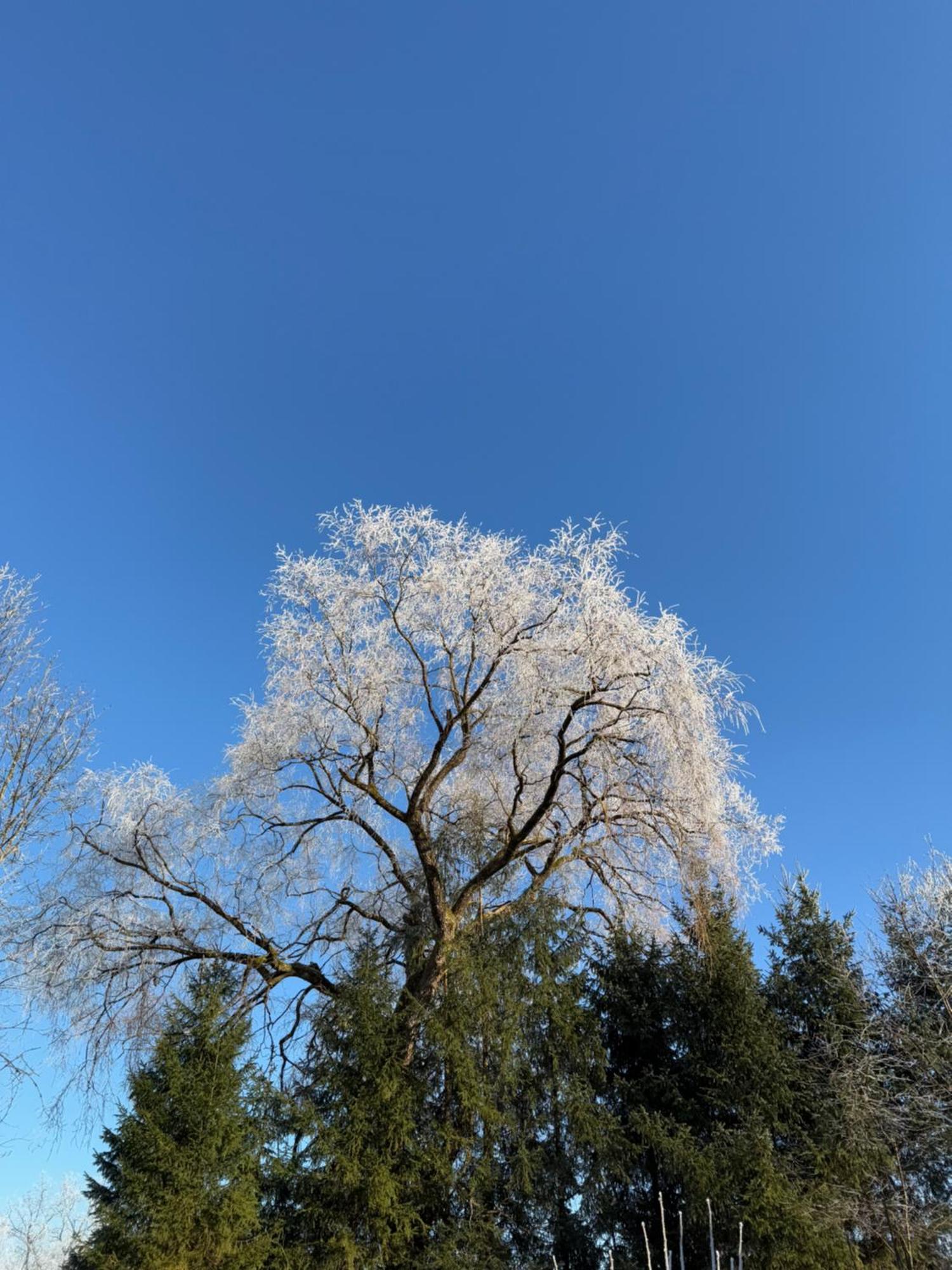 Esterer Grödig Exteriér fotografie